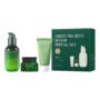 Innisfree The Green Tea Seed Serum Special Set