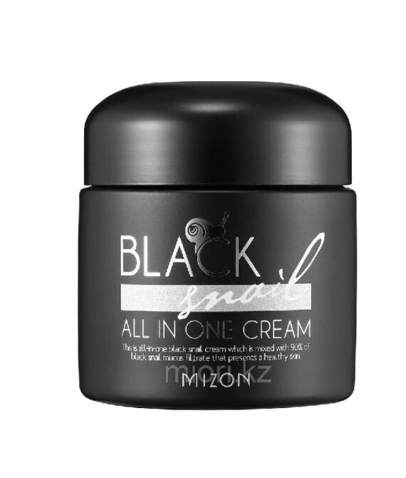 MIZON Black Snail All-In-One Cream 75ml